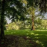 Sequoia * Leinì